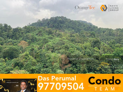 The Skywoods (D23), Condominium #282500531